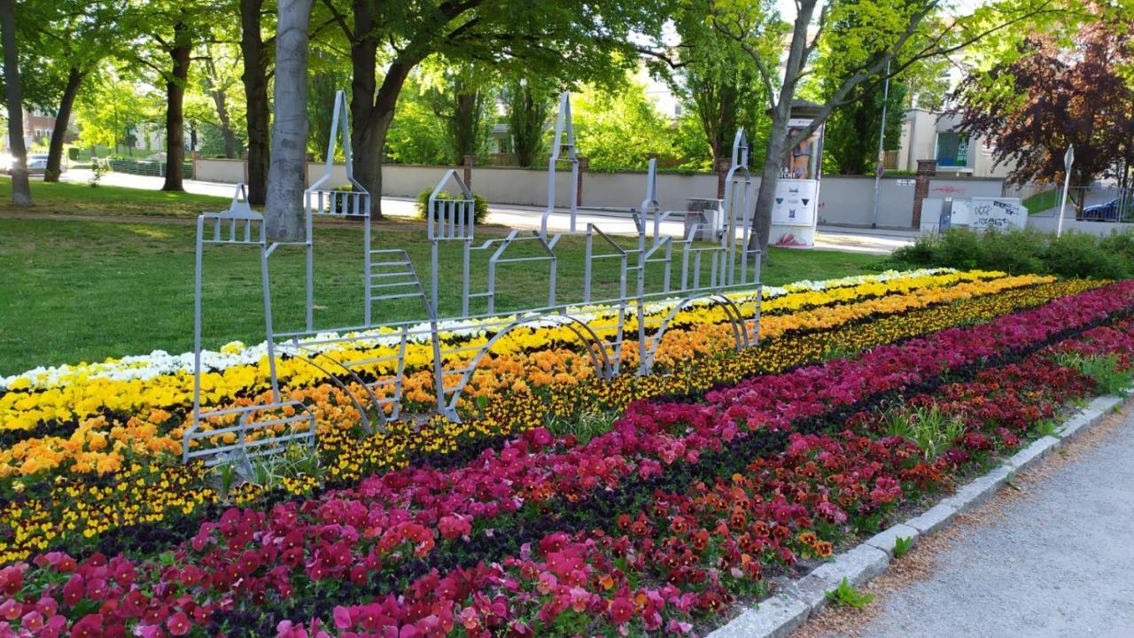 Alte Baeckerei Bautzen - 00 #Kids# Im Zentrum, Mit Parkplatz, Top Ausgestattet Extérieur photo